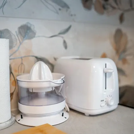 Casa De Alegria 公寓 阿利坎特